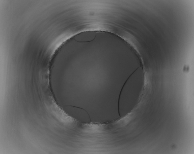 X0000111050781200906251432