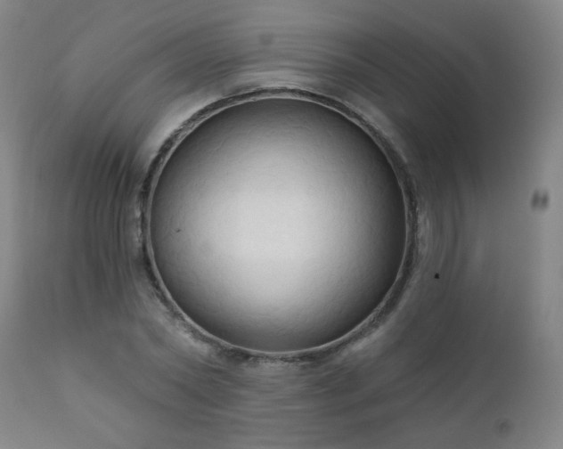 X0000111050782200906251432