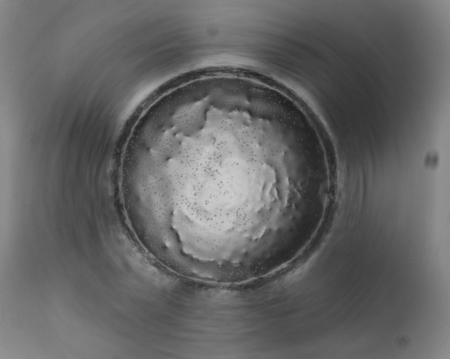X0000111050783200906251432