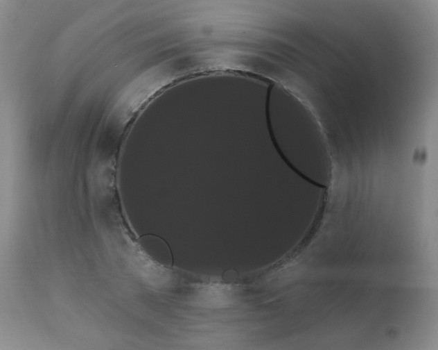 X0000111050785200906251432