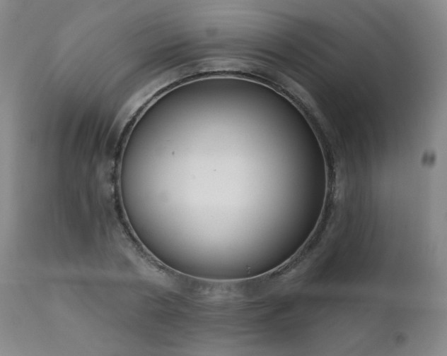 X0000111050786200906251432