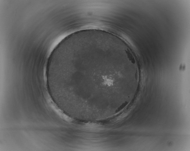 X0000111050788200906251432
