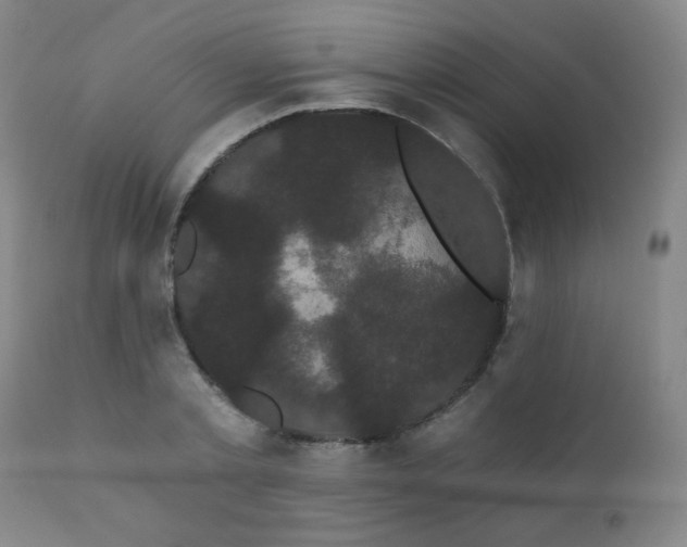 X0000111050789200906251432
