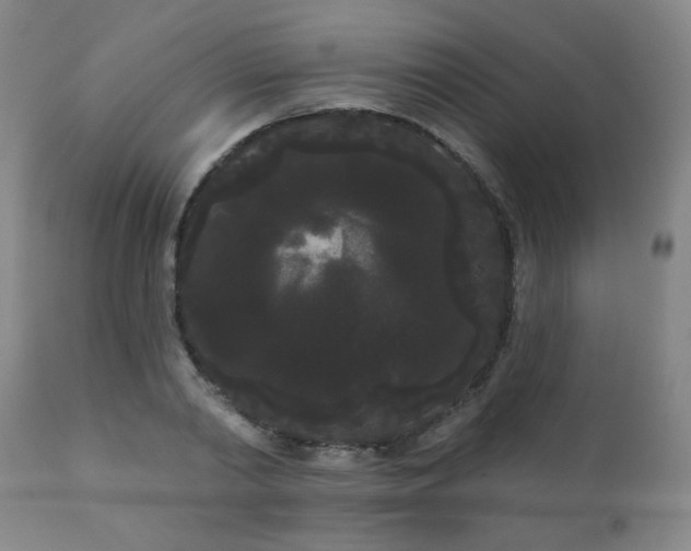 X0000111050790200906251432