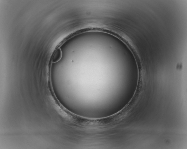 X0000111050791200906251432