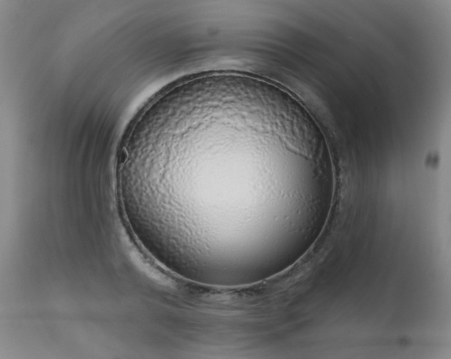 X0000111050792200906251432