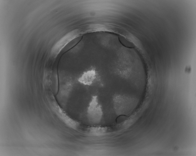 X0000111050793200906251432