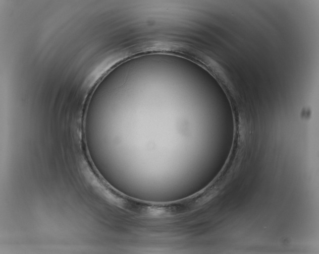 X0000111050794200906251432