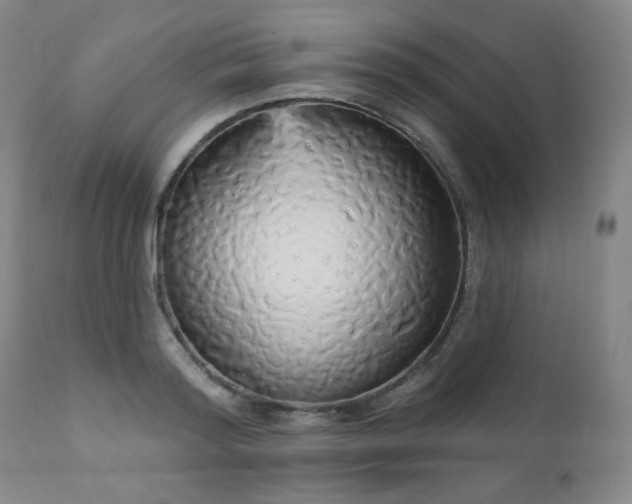 X0000111050796200906251432