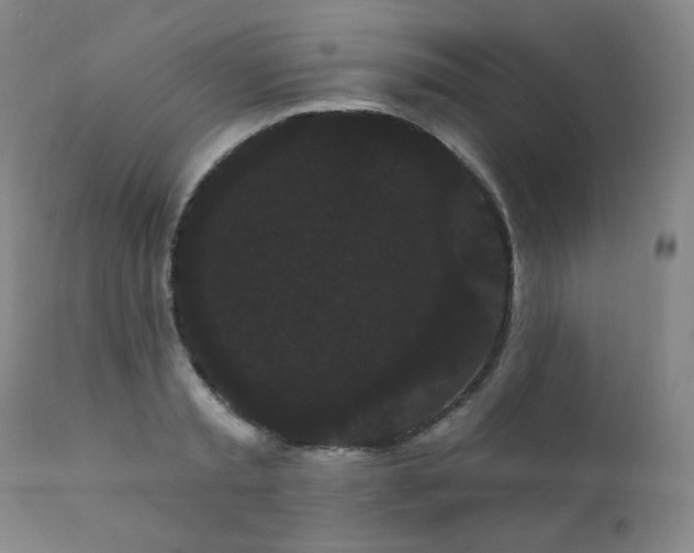 X0000111050797200906251432