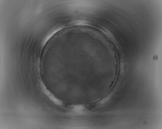 X0000111050798200906251432
