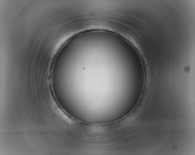 X0000111050799200906251432