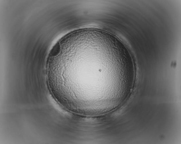 X0000111050800200906251432