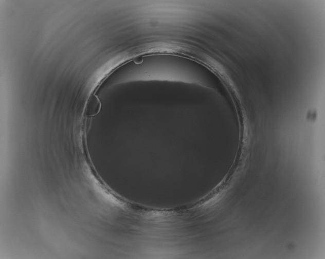 X0000111050802200906251432