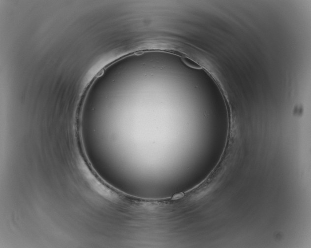 X0000111050803200906251432