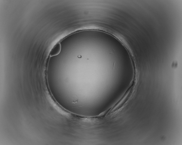X0000111050805200906251432
