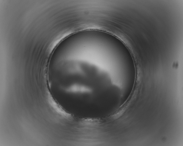 X0000111050806200906251432