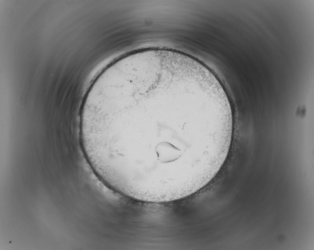 X0000111050807200906251431