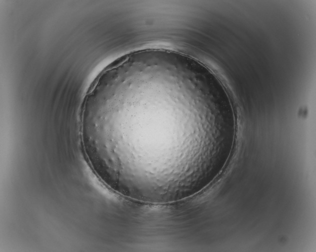 X0000111050808200906251431