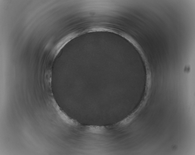 X0000111050809200906251431