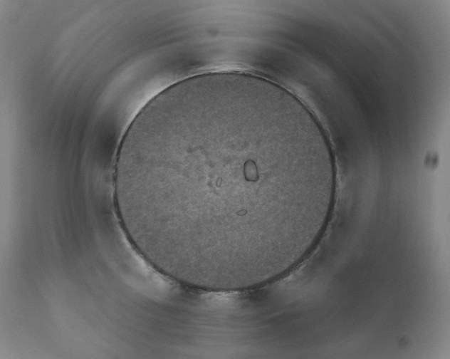 X0000111050810200906251431