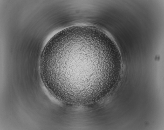 X0000111050811200906251431