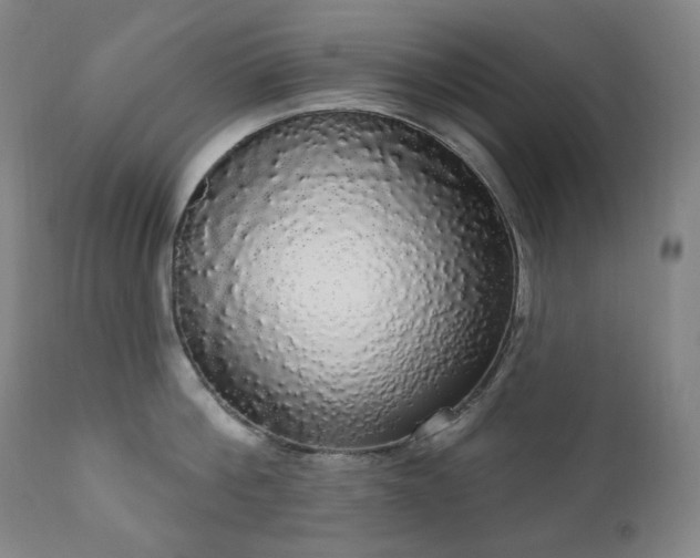 X0000111050812200906251431