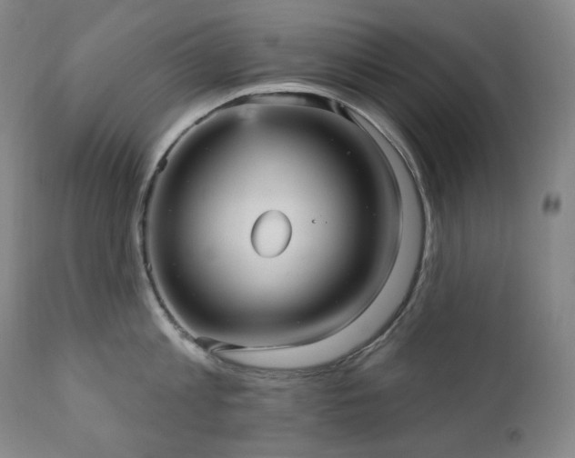 X0000111050813200906251431