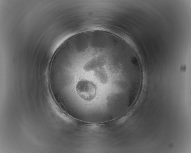 X0000111050814200906251431