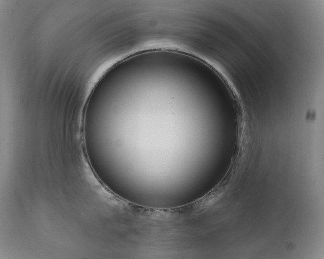 X0000111050815200906251431