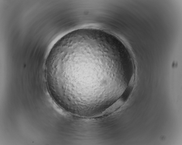 X0000111050816200906251431