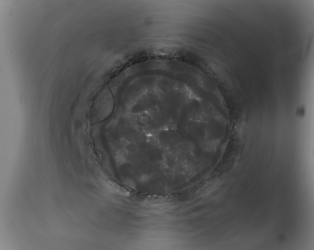 X0000111050817200906251430