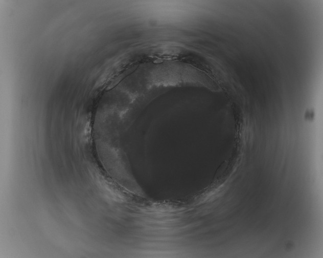 X0000111050818200906251430