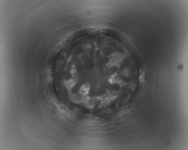 X0000111050819200906251430
