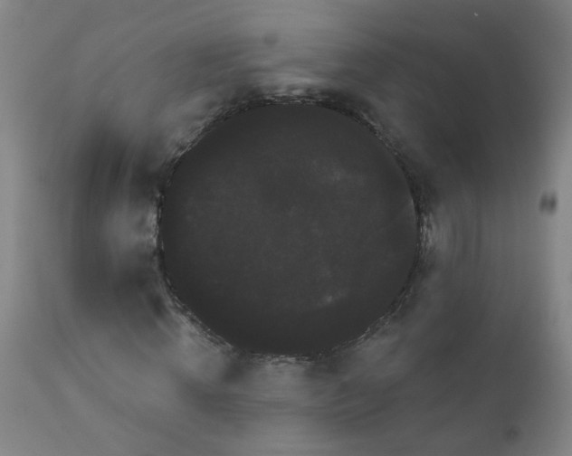 X0000111050820200906251430