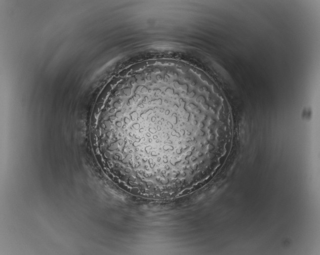 X0000111050821200906251430