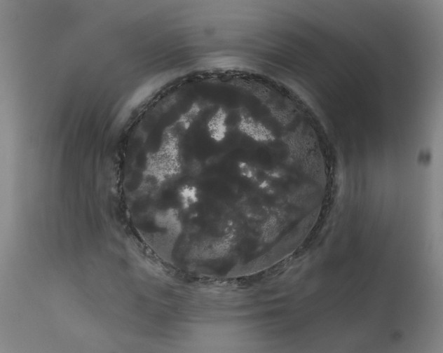X0000111050823200906251431