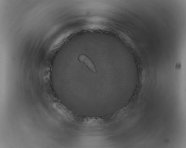 X0000111050824200906251431