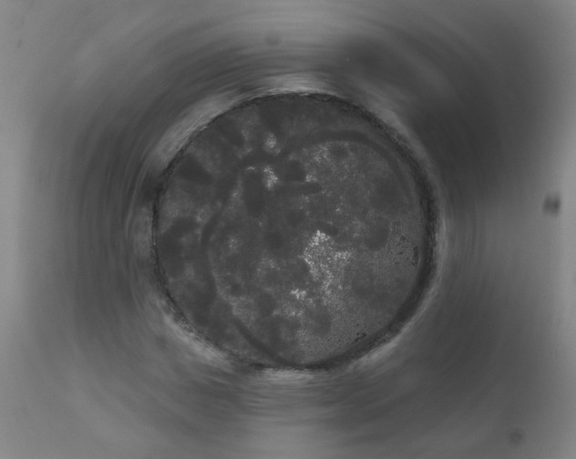 X0000111050825200906251431