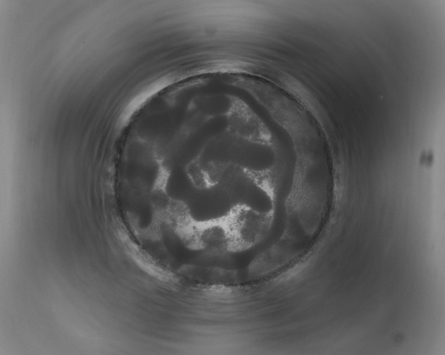 X0000111050827200906251431