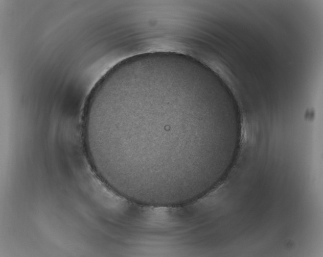 X0000111050828200906251431