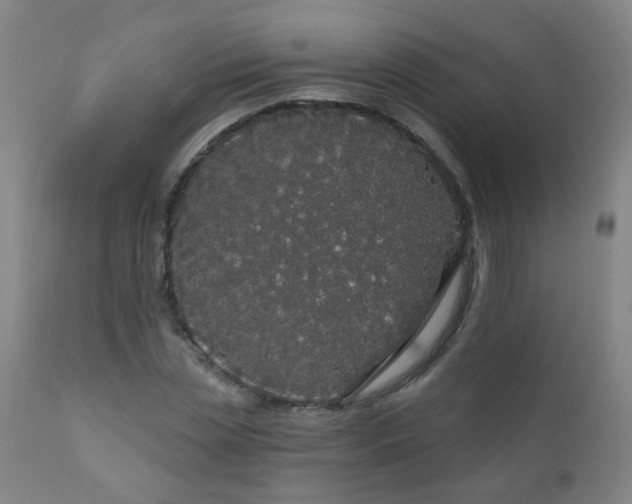 X0000111050829200906251431