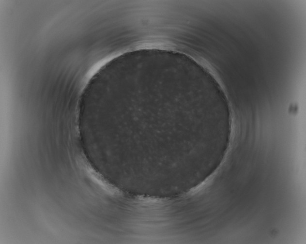 X0000111050830200906251431