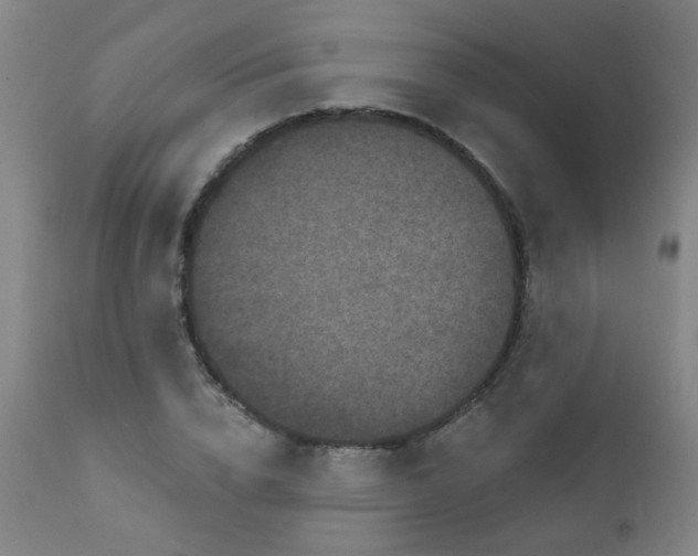 X0000111050832200906251431