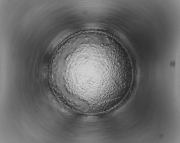X0000111050833200906251431
