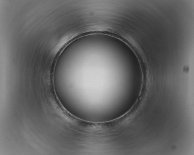 X0000111050834200906251431