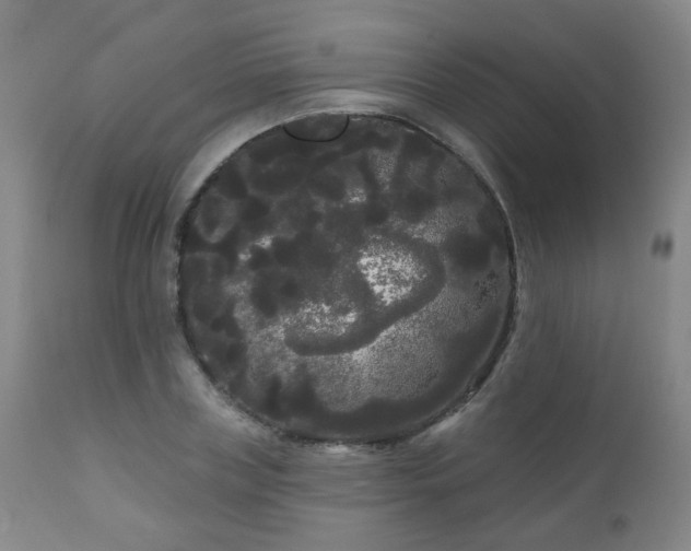 X0000111050835200906251431