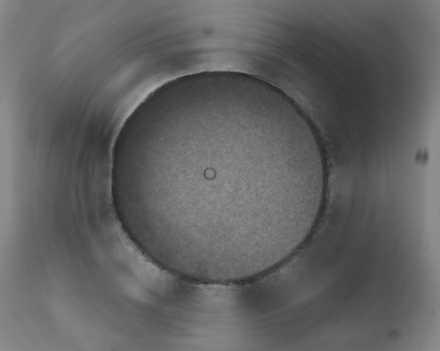X0000111050836200906251431