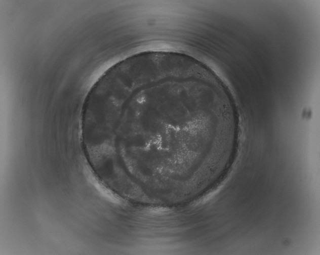 X0000111050837200906251431