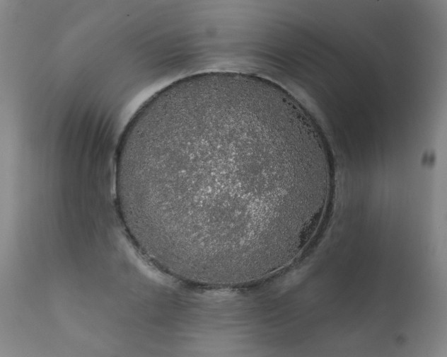 X0000111050838200906251431